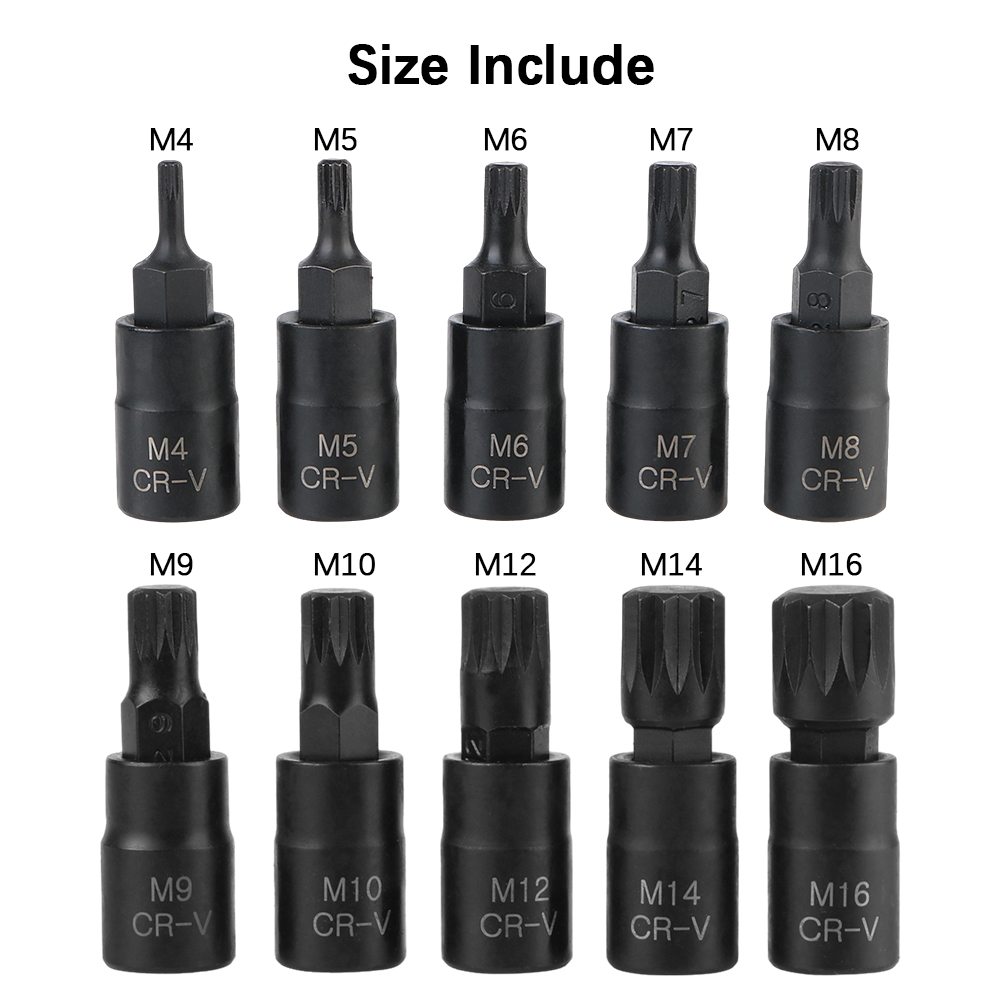 Jeu de douilles Torx Bit pour  - Rotary Tool Kit avis et prix